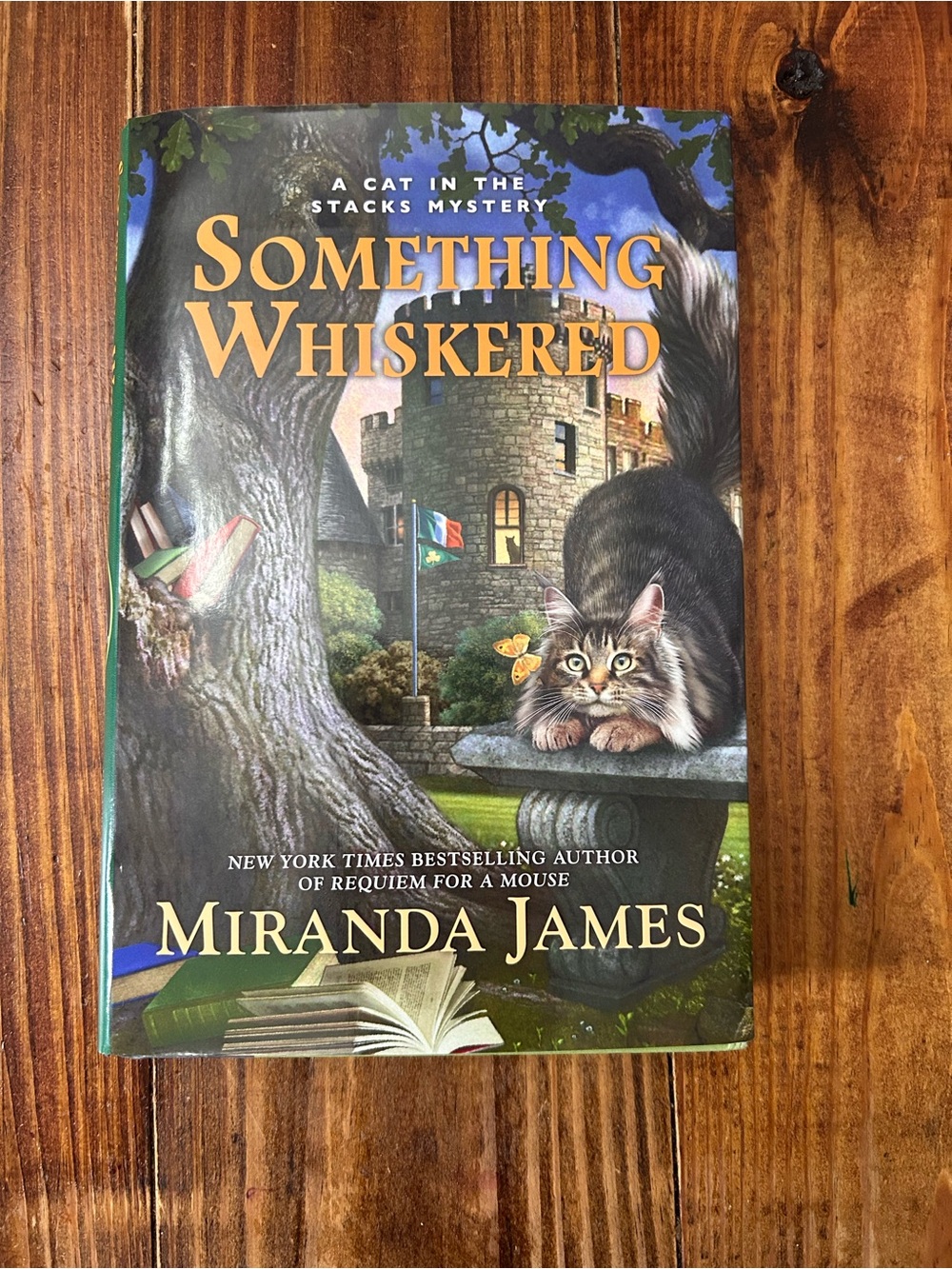 Cat Book Back Cover
